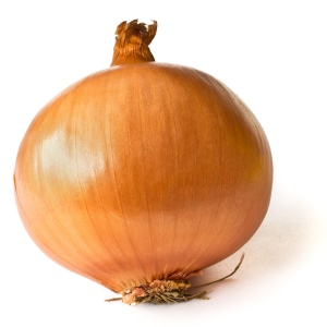 Onion_on_White